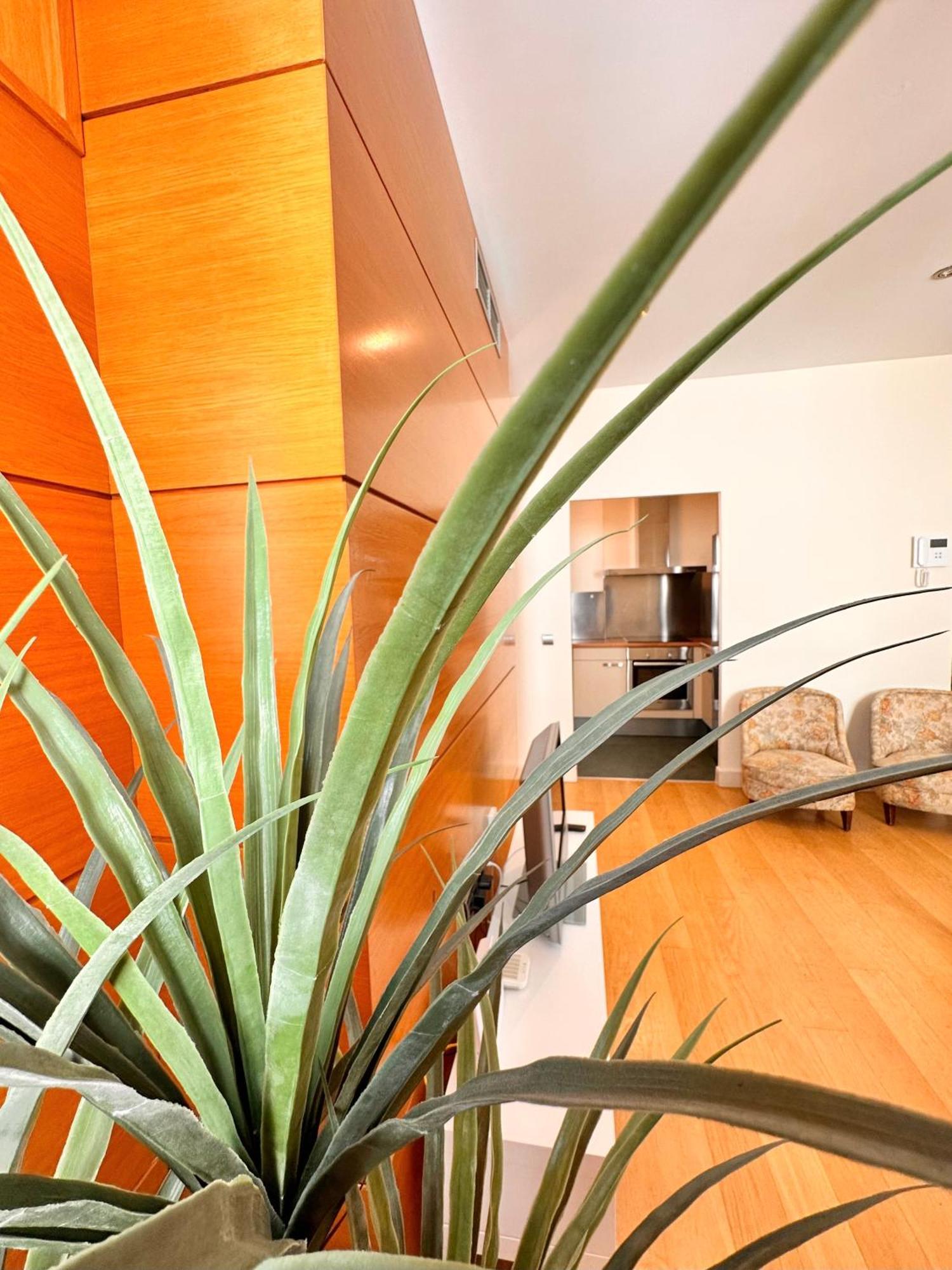 Penthouse Near Cathedral Private Rooftop Private Parking Sevilla Buitenkant foto